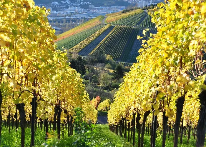 Gaestehaus Abz * シュトゥットガルト