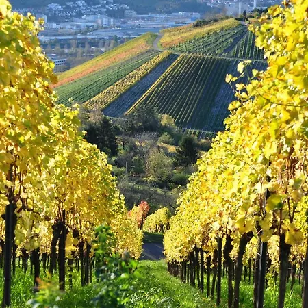 Gaestehaus Abz * Estugarda