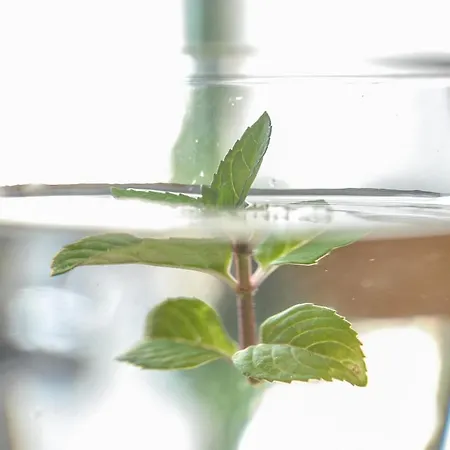 Hotel Gaestehaus Abz *