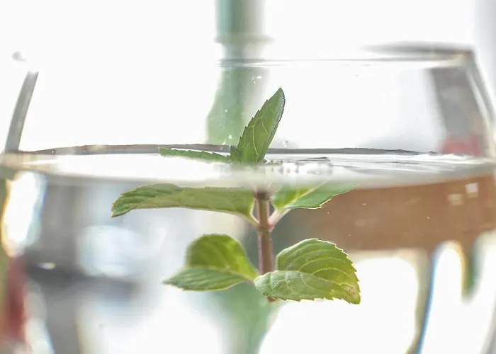 Hotel Gaestehaus Abz *